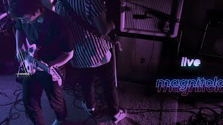 картинка: Магнитола Audioсomnata live