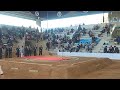 20190316 第70回全国高等学校相撲新人選手権大会一日目　ライブ 高知大会