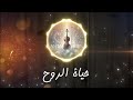 حياة الروح أنغام السلام الداخلي والتأمل         