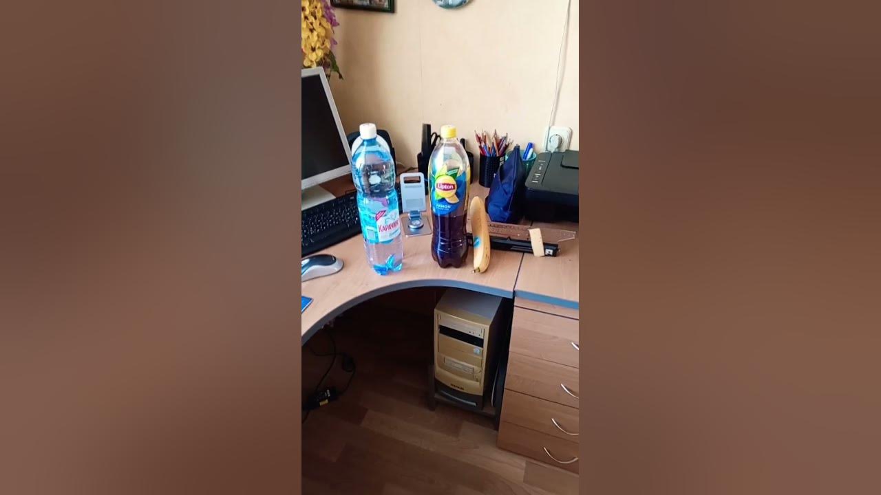 какого размера член слона с большую бутылку, почти самой большой ...