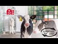 Farm Life 360º - Virginia Dairy Cow Milking