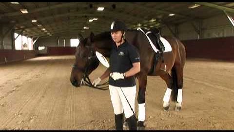 EP #5 - Positive Reinforcement