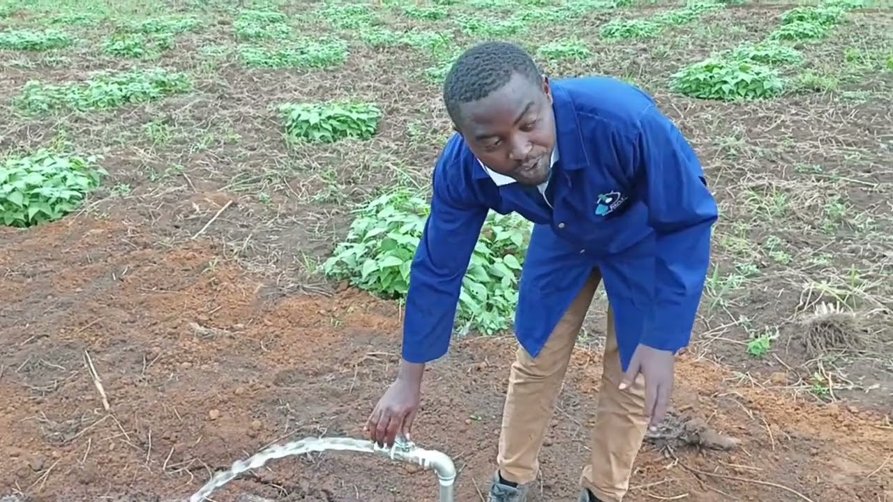 Extension of the Drag Hose Irrigation System for Coffee Plantation