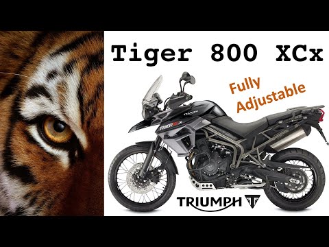 Intro 2 Clicks Out: Triumph Tiger 800 XCx Suspension Setup