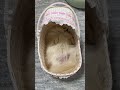 オンとオフ📴パート2 #dog