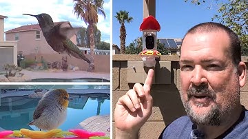 Birdsnap Hummingbird Feeder First Impressions and set Up