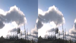 3D Vr Horse ride Woodland Valley #1 screenshot 3