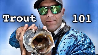 trout fishing 101  HOW TO  catch summer trout