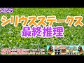【2025シリウスステークスレース予想】大舞台を見据えた新勢力の決戦模様!!トリッキーな阪神2000mで躍動するのはどの馬か!?