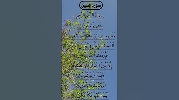 SURAH AT TIN BEAUTIFUL VOICE سورة التين #surahattin #surahtin
