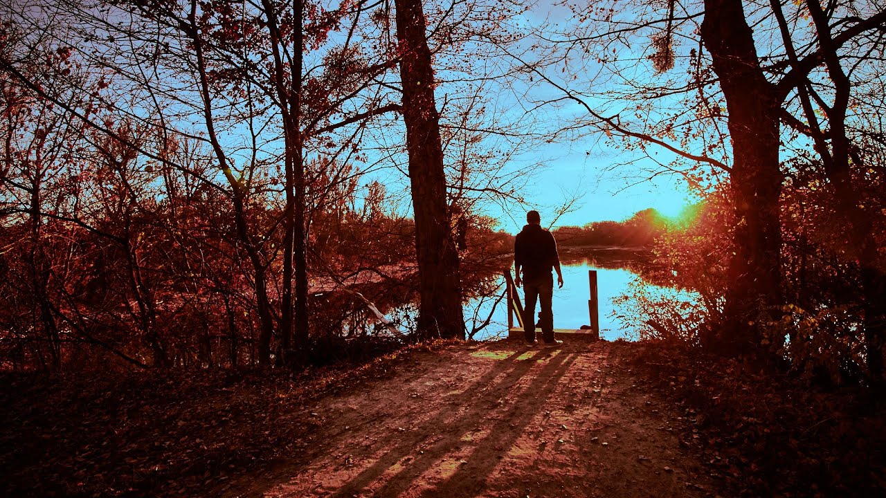 WIEN Vlog ep12 Sonntagsspaziergang im Nationalpark Donau-Auen