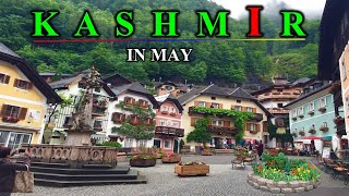 Kashmir Tour Complete Guide | All Information About Kashmir Trip | Kashmir trip in may month