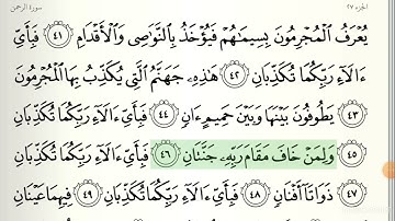 سورة الرحمن ( 46 - 78 ) بصوت الشيخ ياسر الدوسري
