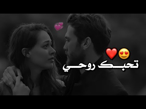 تحبك روحي رعد وميثاق السامرائي حالات واتس آب 2020 