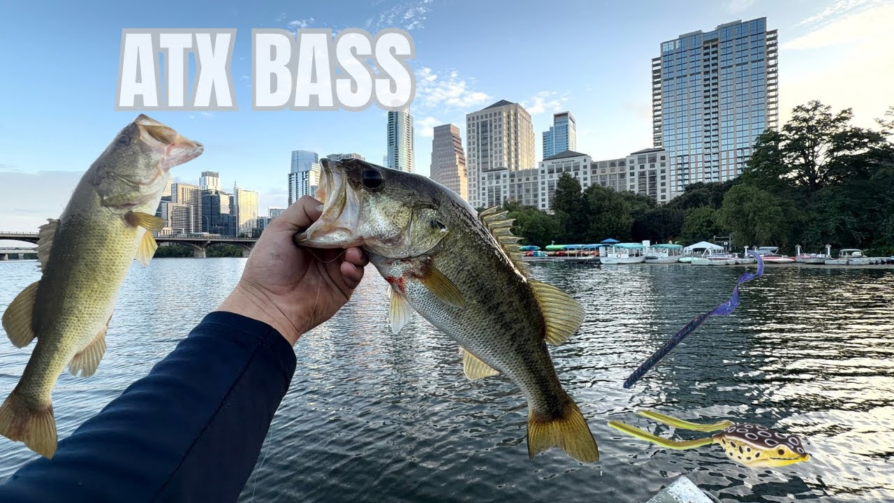 My first time BASS FISHING at LADYBIRD LAKE in Austin Texas