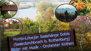 Wettin-Löbejün Saalehänge Dobis Saaledurchbruch B. Rothenburg 100 Bilder Mu Orchester Köthen