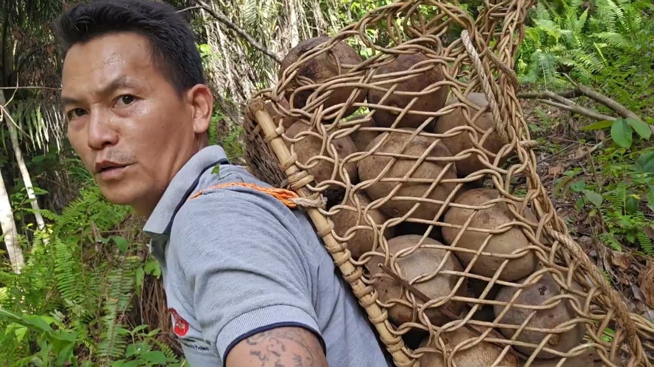 Berita Duka Dari Bintulu. Kutip Buah Sebelum Pergi.