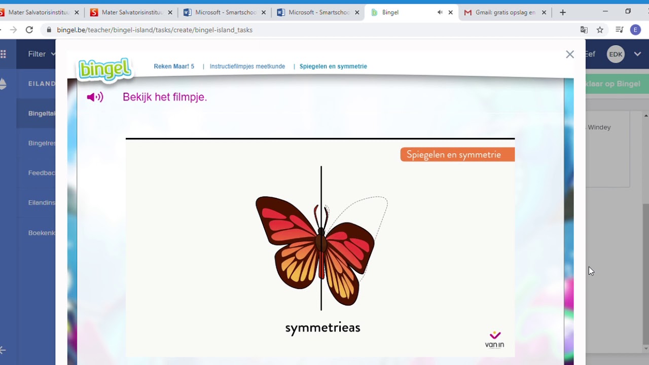 Spiegelen en symmetrie