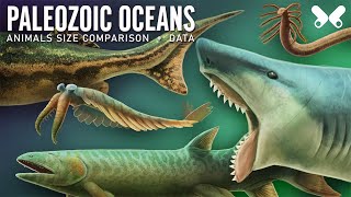 Aquatic Animals of the Paleozoic Era. Size comparison and data. Paleoart
