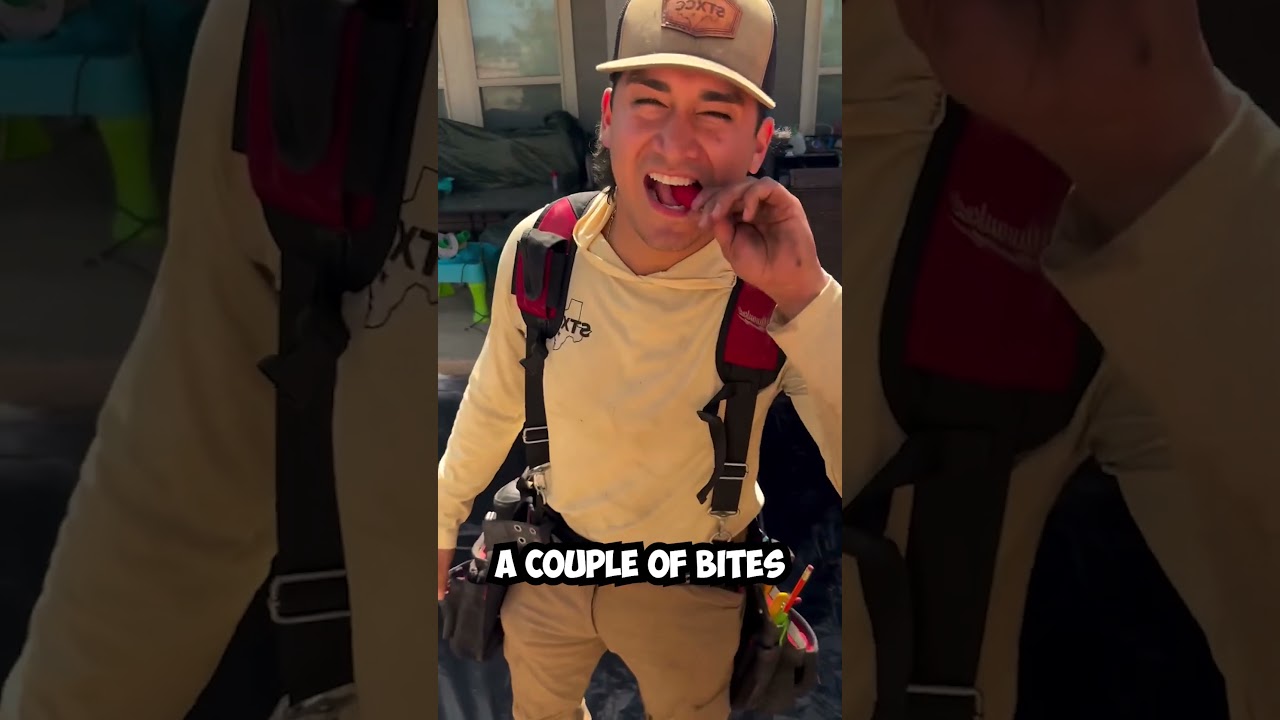 He wanted to go home so badly 😂 (@south_texas_constructionllc) 