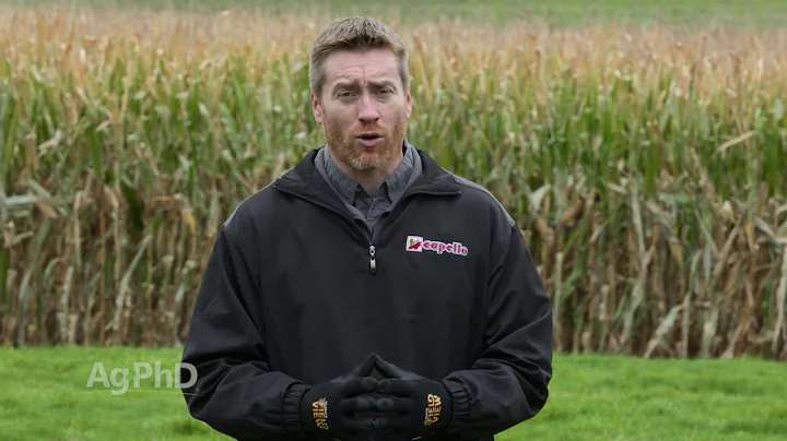 What's New From Corn Breeders #971 (Air Date 11-13-16)