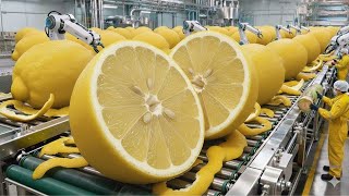 Inside the Largest High-Tech Lemon Peel Concentrate Factory You’ve Never Seen Before