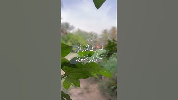 تلاوه رائعه - قرآن - حديث - Quran - #اكسبلور #لايك #متابعه - اللهم صل وسلم على نبينا محمد