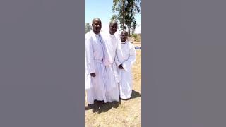 MHARIDZO TIGERE PADARE