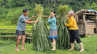 Mai's parents were very happy when she returned to help the family.