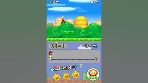 NSMB - Snake Block - unused "last node behaviour" settings