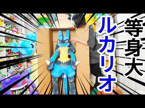 等身大ルカリオぬいぐるみ！！開封！！