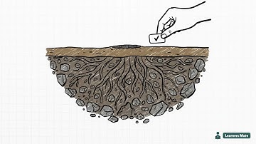 L12: Alternative Conceptions - Child development and pedagogy [CDPY-L012]