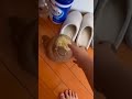 FLAT MONKE рџђ рџђµрџЌЊ FLAT MONKE рџђ рџђµрџЌЊ