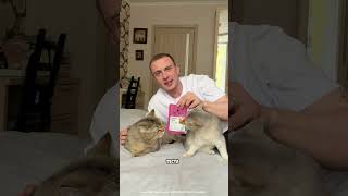 мои коты рекомендуют😎