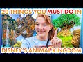 20 things you must do in disneys animal kingdom