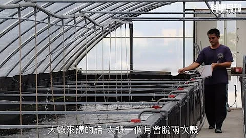 《科學月刊》溫室養殖白蝦－賴玨光專訪 - 天天要聞
