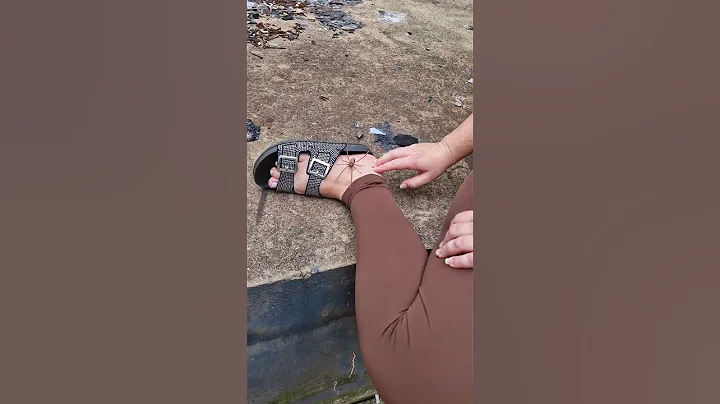 #intrattenimento #incianto #encinamentos #humor #garden