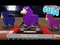CIRCUITO CONTA PECORE per DORMIRE - Minecraft ITA SURVIVAL #1134