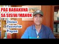 PAANO MAG BAKUNA NG SISIW/MANOK || VACCINATION PROGRAM (@Chicken Tour )