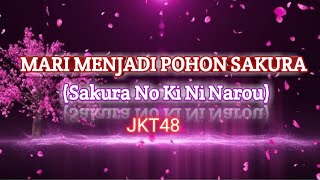 Mari Menjadi Pohon Sakura/Sakura No Ki Ni Narou -JKT48 (lirik lagu)