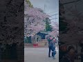 Sakura #travel #japan