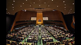 The UN: A Relic of Idealism or a Useful Diplomatic Tool?