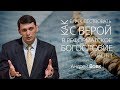 Как благовествовать с верой в реформатское богословие (часть 1) | Андрей Вовк | Слово Истины