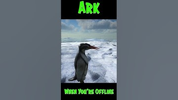 Ark When You