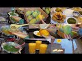 أحب بيتي احب مطبخي والطلة الحلوة علي نخلتي الجميلة روتين سعادتي في بيتي تخزين المانجا أحب بيتي احب مطبخي والطلة الحلوة علي نخلتي الجميلة روتين سعادتي في بيتي تخزين المانجا