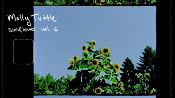 Molly Tuttle - Sunflower, Vol. 6 (Harry Styles Cover - Official Audio)