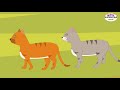 Monkey and Two Cats | English Moral Stories For Kids | Cartoon Stories for Kids Mp3 Song