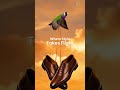Where Style Takes Flight 🕊️ | Premium Leather Shoes