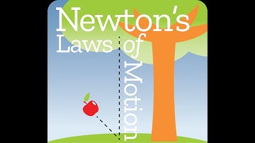 IGCSE PHYSICS: NEWTON