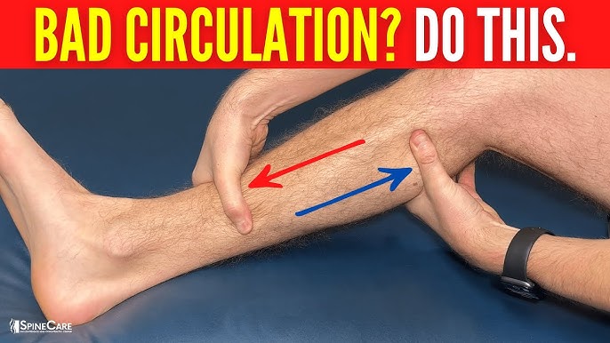 5 Ways To Boost Leg Circulation And Blood Flow 2024